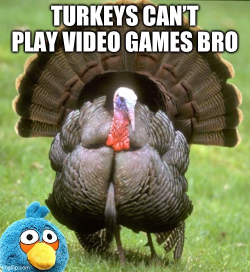 Turkey Meme | TURKEYS CAN’T PLAY VIDEO GAMES BRO | image tagged in memes,turkey | made w/ Imgflip meme maker