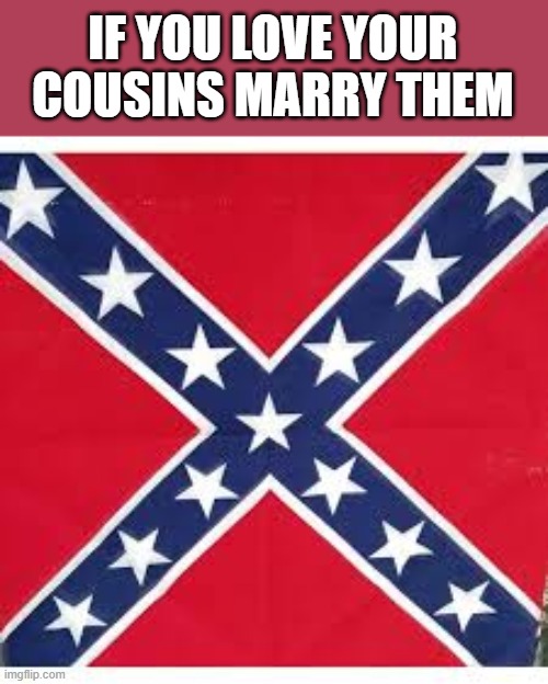 HOW ABOUT NO | IF YOU LOVE YOUR COUSINS MARRY THEM | image tagged in sweet home alabama | made w/ Imgflip meme maker