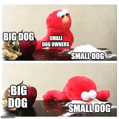 They're small dog owners for a reason | BIG DOG; SMALL DOG OWNERS; SMALL DOG; BIG DOG; SMALL DOG | image tagged in elmo cocaine | made w/ Imgflip meme maker