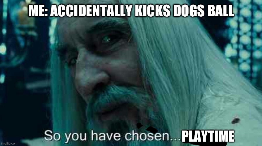 My dog be like | ME: ACCIDENTALLY KICKS DOGS BALL; PLAYTIME | image tagged in so you have chosen death | made w/ Imgflip meme maker