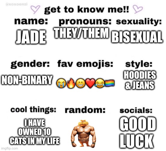 get to know me | BISEXUAL; THEY/THEM; JADE; NON-BINARY; HOODIES & JEANS; 😭🔥😁❤️😂🏳️‍🌈; GOOD LUCK; I HAVE OWNED 10 CATS IN MY LIFE | image tagged in get to know me | made w/ Imgflip meme maker