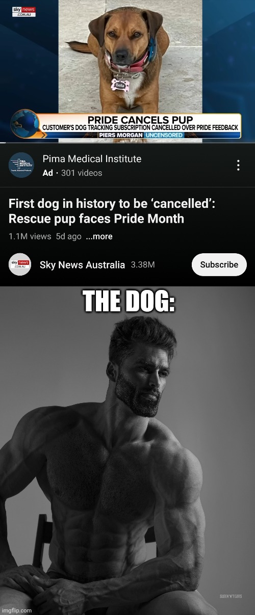 THE DOG: | image tagged in giga chad | made w/ Imgflip meme maker