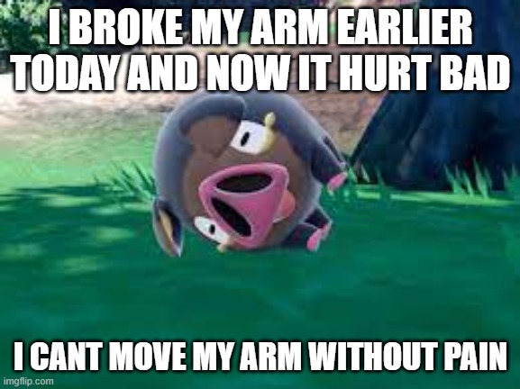 you dont want to know how long it took me to type this. i had to use one hand | I BROKE MY ARM EARLIER TODAY AND NOW IT HURT BAD; I CANT MOVE MY ARM WITHOUT PAIN | image tagged in l e c h o n k | made w/ Imgflip meme maker