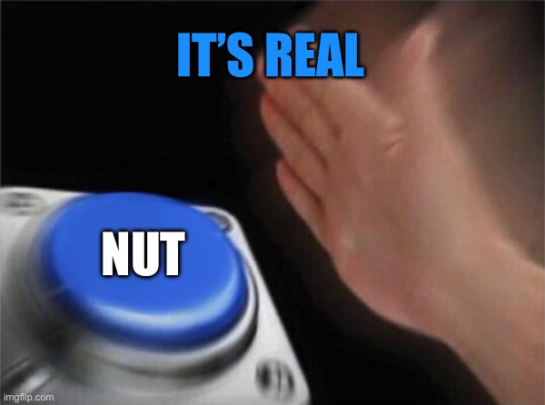 Blank Nut Button | IT’S REAL; NUT | image tagged in memes,blank nut button | made w/ Imgflip meme maker