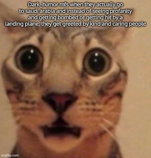 Shocked cat | Dark_humor mfs when they actually go to saudi arabia and instead of seeing profanity and getting bombed or getting hit by a landing plane, they get greeted by kind and caring people | image tagged in shocked cat | made w/ Imgflip meme maker