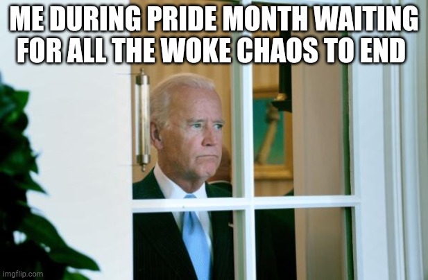 It's July now so yayyyy | ME DURING PRIDE MONTH WAITING FOR ALL THE WOKE CHAOS TO END | image tagged in biden window,biden,pride month | made w/ Imgflip meme maker
