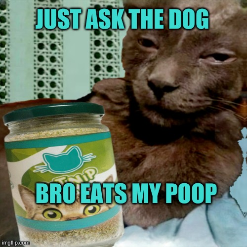 Shit Poster 4 Lyfe | JUST ASK THE DOG BRO EATS MY POOP | image tagged in ship osta 4 lyfe | made w/ Imgflip meme maker