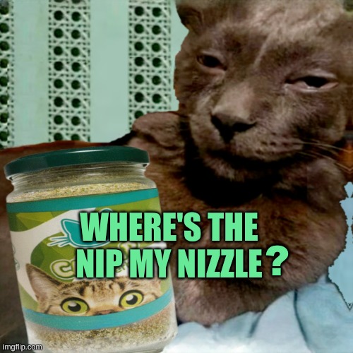 Shit Poster 4 Lyfe | WHERE'S THE NIP MY NIZZLE ? | image tagged in ship osta 4 lyfe | made w/ Imgflip meme maker