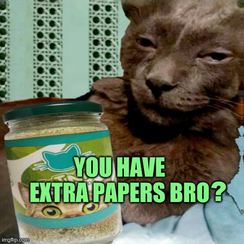 Shit Poster 4 Lyfe | YOU HAVE EXTRA PAPERS BRO ? | image tagged in ship osta 4 lyfe | made w/ Imgflip meme maker