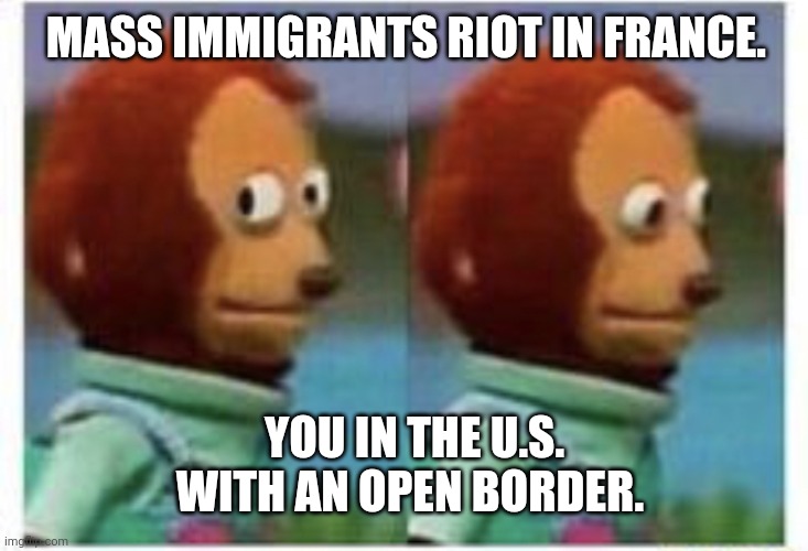 I don't see | MASS IMMIGRANTS RIOT IN FRANCE. YOU IN THE U.S. WITH AN OPEN BORDER. | image tagged in side eye teddy | made w/ Imgflip meme maker