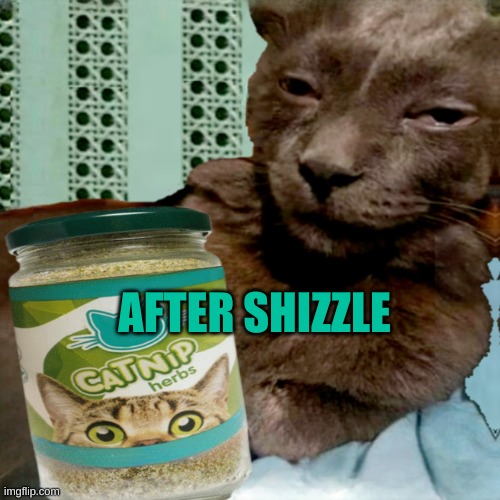 Shit Poster 4 Lyfe | AFTER SHIZZLE | image tagged in ship osta 4 lyfe | made w/ Imgflip meme maker
