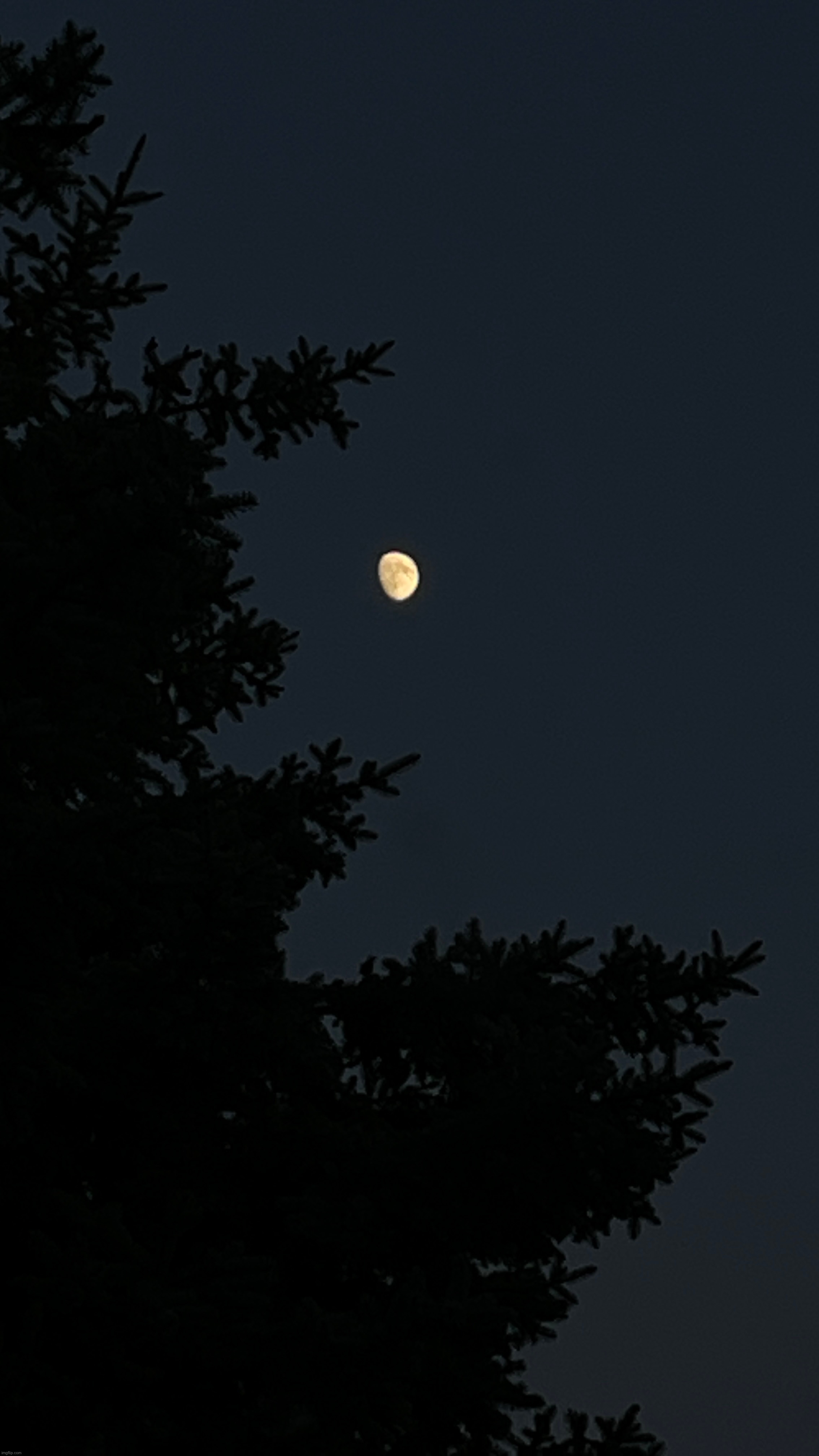 my new best moon pic | image tagged in share your own photos,moon,luna,photos | made w/ Imgflip meme maker
