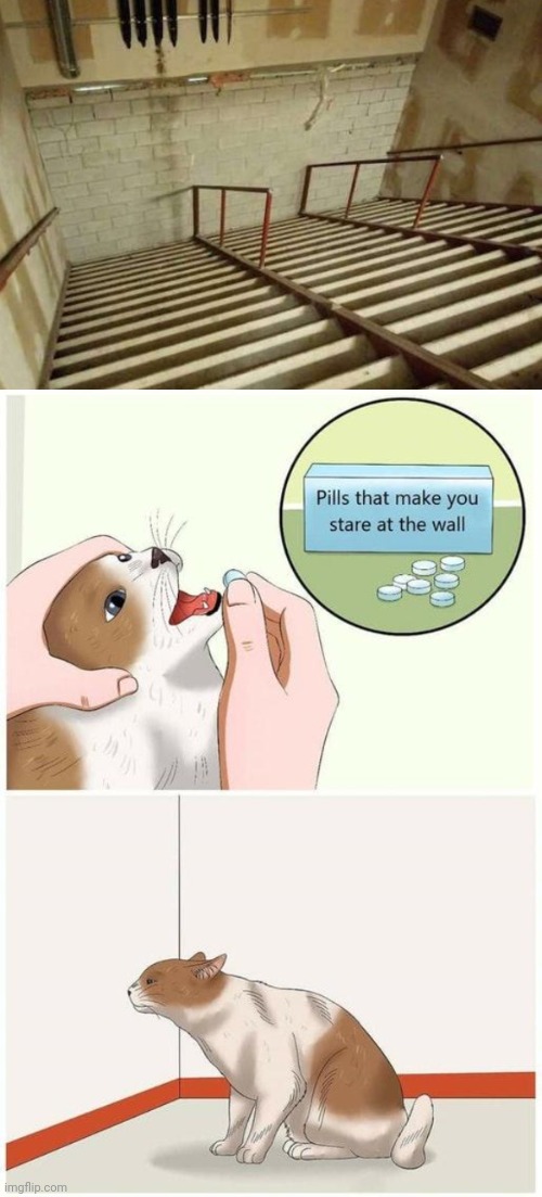 Stairs into wall | image tagged in pills that make you stare at the wall,stairs,reposts,repost,wall,memes | made w/ Imgflip meme maker