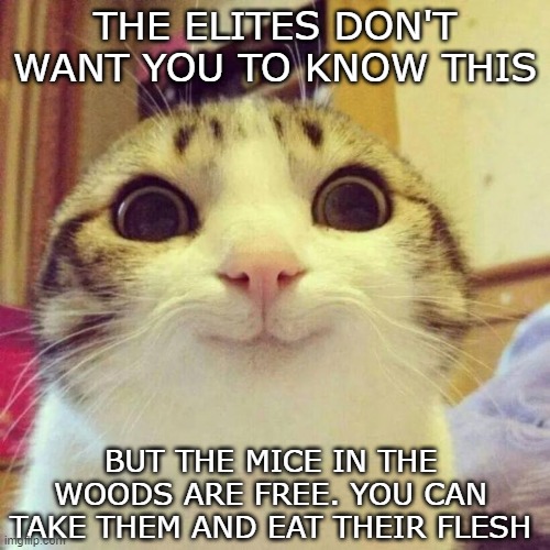 Alex Jones parody | THE ELITES DON'T WANT YOU TO KNOW THIS; BUT THE MICE IN THE WOODS ARE FREE. YOU CAN TAKE THEM AND EAT THEIR FLESH | image tagged in memes,smiling cat | made w/ Imgflip meme maker