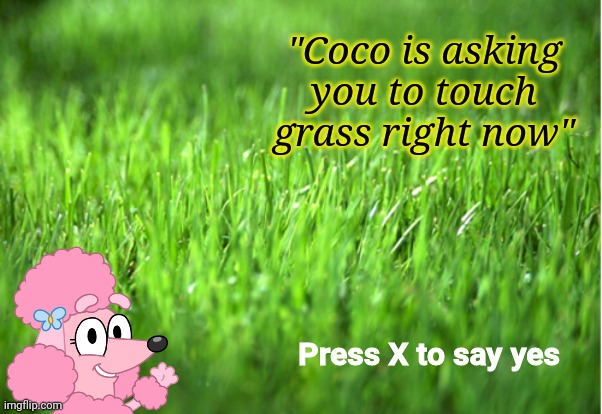 Coco asks you to touch grass | "Coco is asking you to touch grass right now"; Press X to say yes | image tagged in memes,touch grass,bluey,coco,poodle | made w/ Imgflip meme maker