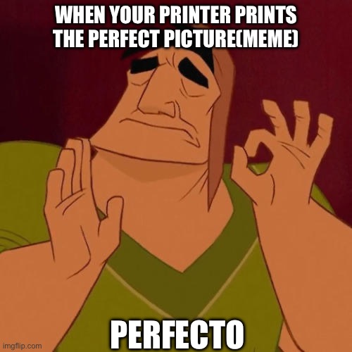 Ok. | WHEN YOUR PRINTER PRINTS THE PERFECT PICTURE(MEME); PERFECTO | image tagged in when x just right | made w/ Imgflip meme maker