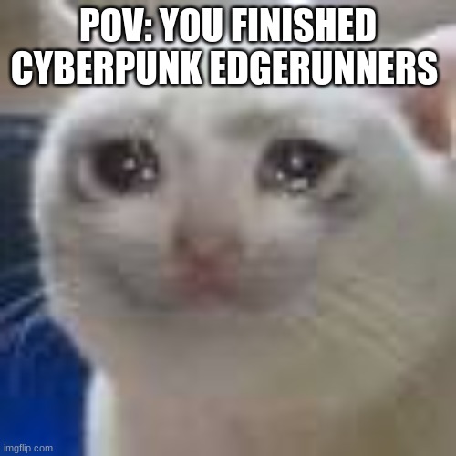 fax | POV: YOU FINISHED CYBERPUNK EDGERUNNERS | image tagged in sad,cat,sad cat | made w/ Imgflip meme maker