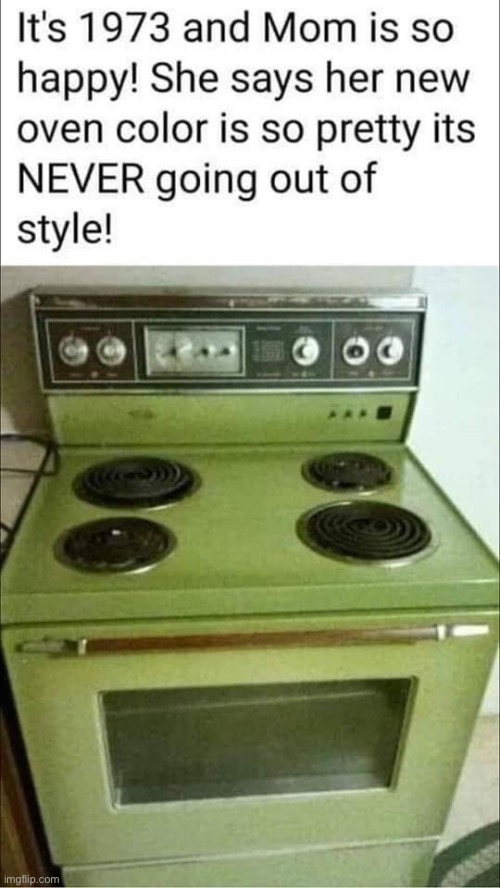 1973 | image tagged in seventies,1970s,oven,fashion,style | made w/ Imgflip meme maker