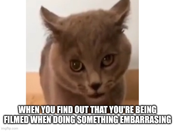 You Are Being Filmed... | WHEN YOU FIND OUT THAT YOU'RE BEING FILMED WHEN DOING SOMETHING EMBARRASING | image tagged in funny | made w/ Imgflip meme maker