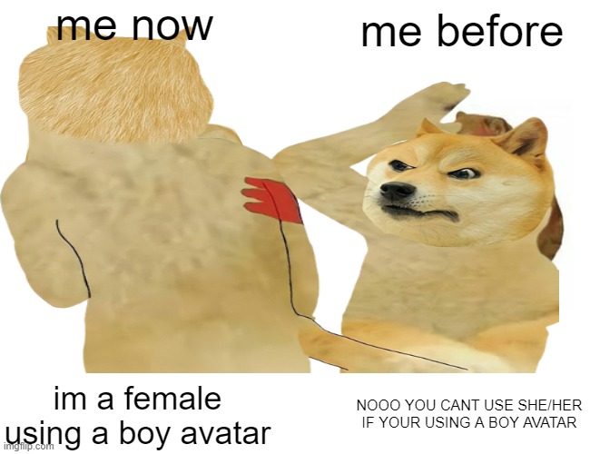 me now; me before; im a female using a boy avatar; NOOO YOU CANT USE SHE/HER IF YOUR USING A BOY AVATAR | image tagged in unfunny | made w/ Imgflip meme maker