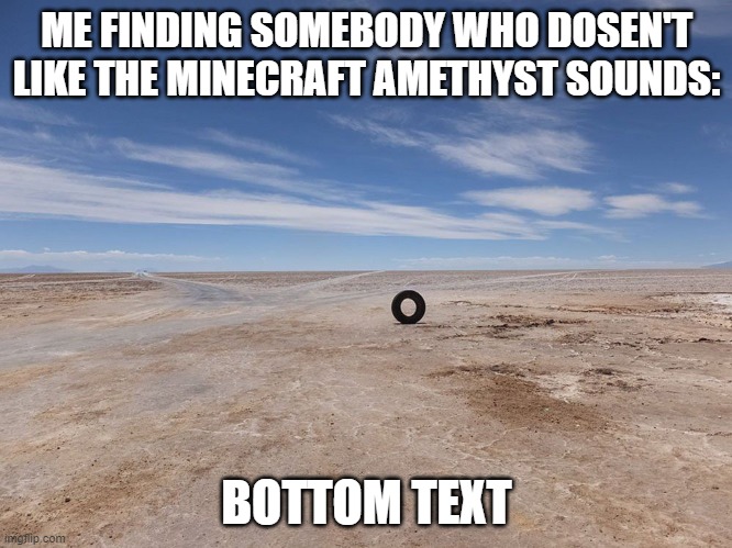 Amethyst is the best sound-block | ME FINDING SOMEBODY WHO DOSEN'T LIKE THE MINECRAFT AMETHYST SOUNDS:; BOTTOM TEXT | image tagged in me finding somebody who asked meme new | made w/ Imgflip meme maker