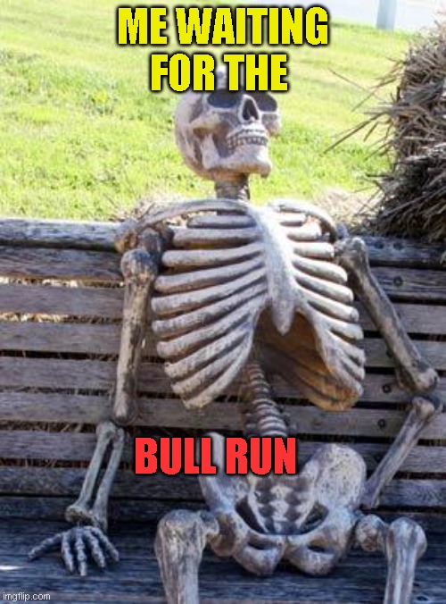 bull run | ME WAITING FOR THE; BULL RUN | image tagged in memes,cryptocurrency,crypto,profit,funny | made w/ Imgflip meme maker