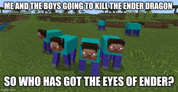 speed run | ME AND THE BOYS GOING TO KILL THE ENDER DRAGON; SO WHO HAS GOT THE EYES OF ENDER? | image tagged in me and the boys | made w/ Imgflip meme maker
