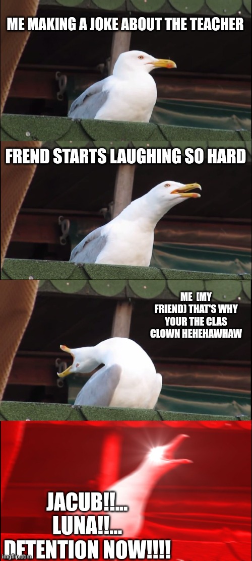 Inhaling Seagull | ME MAKING A JOKE ABOUT THE TEACHER; FREND STARTS LAUGHING SO HARD; ME  [MY FRIEND) THAT'S WHY YOUR THE CLAS CLOWN HEHEHAWHAW; JACUB!!...
LUNA!!...
DETENTION NOW!!!! | image tagged in memes,inhaling seagull | made w/ Imgflip meme maker