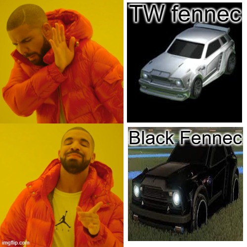 Drake Hotline Bling | TW fennec; Black Fennec | image tagged in memes,drake hotline bling | made w/ Imgflip meme maker