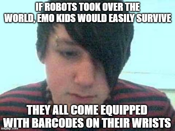 Easy Survival | IF ROBOTS TOOK OVER THE WORLD, EMO KIDS WOULD EASILY SURVIVE; THEY ALL COME EQUIPPED WITH BARCODES ON THEIR WRISTS | image tagged in emo kid | made w/ Imgflip meme maker