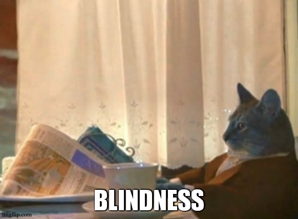 I Should Buy A Boat Cat Meme | BLINDNESS | image tagged in memes,i should buy a boat cat | made w/ Imgflip meme maker