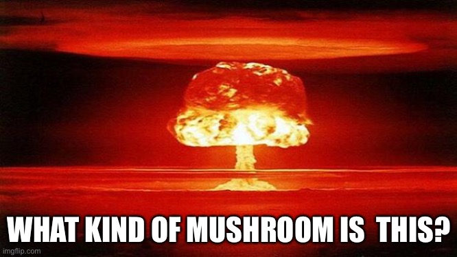 Atomic Bomb | WHAT KIND OF MUSHROOM IS  THIS? | image tagged in atomic bomb | made w/ Imgflip meme maker