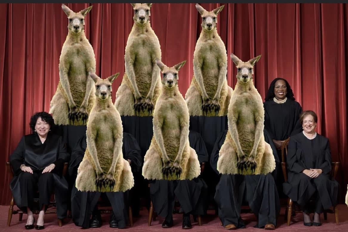 The Trump Kangaroo Supreme Court, no precedents, just politics Blank Meme Template