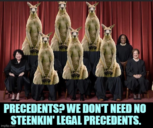 The Trump Kangaroo Supreme Court, no precedents, just politics | PRECEDENTS? WE DON'T NEED NO 
STEENKIN' LEGAL PRECEDENTS. | image tagged in the trump kangaroo supreme court no precedents just politics,radical,supreme court,political,hacks,conservative hypocrisy | made w/ Imgflip meme maker