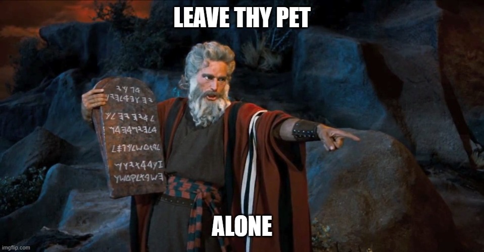 LEAVE THY PET ALONE | image tagged in ten commandments | made w/ Imgflip meme maker
