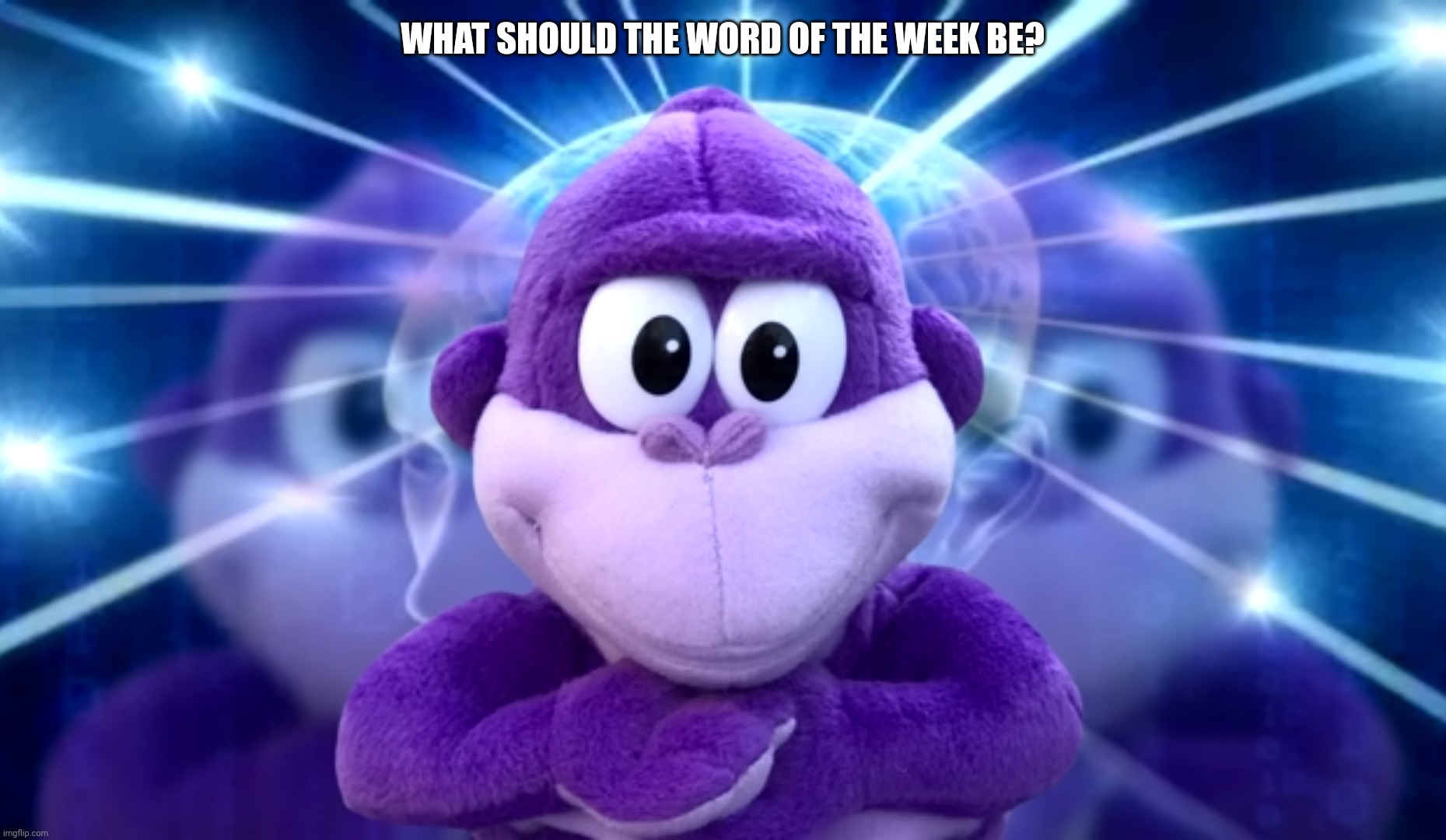 GET YOUR BONZI BUDDY NOW! - Imgflip