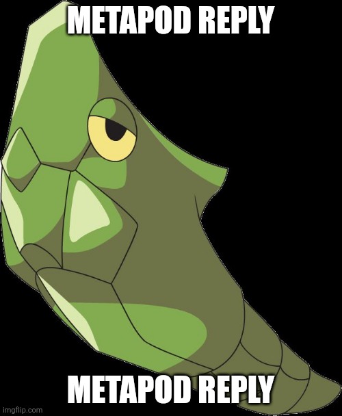 METAPOD REPLY METAPOD REPLY | image tagged in metapod | made w/ Imgflip meme maker