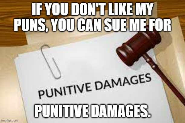 meme by Brad punitive damages | IF YOU DON'T LIKE MY PUNS, YOU CAN SUE ME FOR; PUNITIVE DAMAGES. | image tagged in law | made w/ Imgflip meme maker