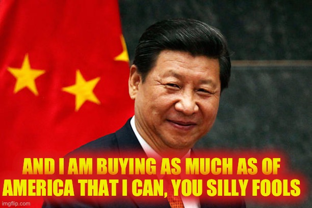 Xi Jinping | AND I AM BUYING AS MUCH AS OF AMERICA THAT I CAN, YOU SILLY FOOLS | image tagged in xi jinping | made w/ Imgflip meme maker