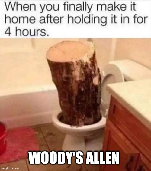 WOODY'S ALLEN | made w/ Imgflip meme maker