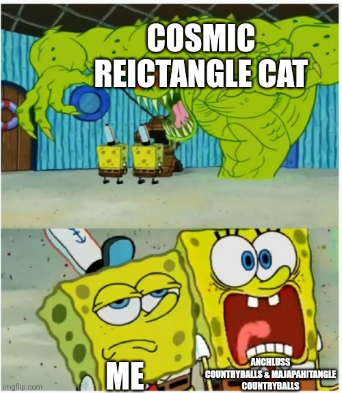 Cosmic Reictangle cat is a Mythical Reictangle cat | COSMIC REICTANGLE CAT; ANCHLUSS COUNTRYBALLS & MAJAPAHITANGLE COUNTRYBALLS; ME | image tagged in spongebob squarepants scared but also not scared,countryballs | made w/ Imgflip meme maker