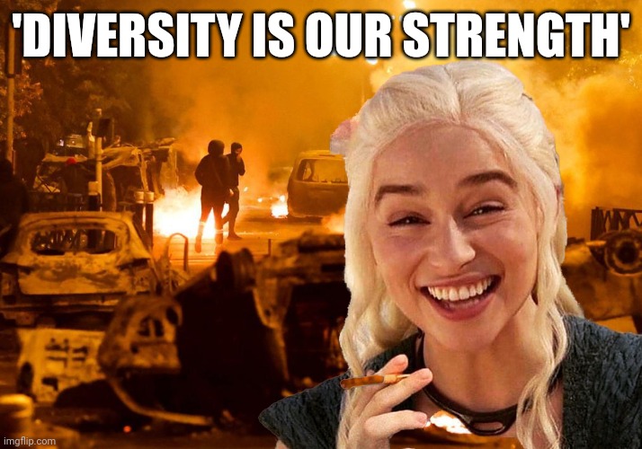 France has fallen. | 'DIVERSITY IS OUR STRENGTH' | image tagged in memes | made w/ Imgflip meme maker