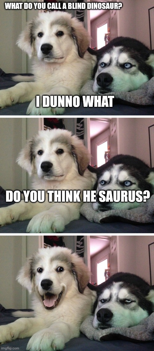Do you think he saurus bad pin dogs | WHAT DO YOU CALL A BLIND DINOSAUR? I DUNNO WHAT; DO YOU THINK HE SAURUS? | image tagged in bad pun dogs | made w/ Imgflip meme maker