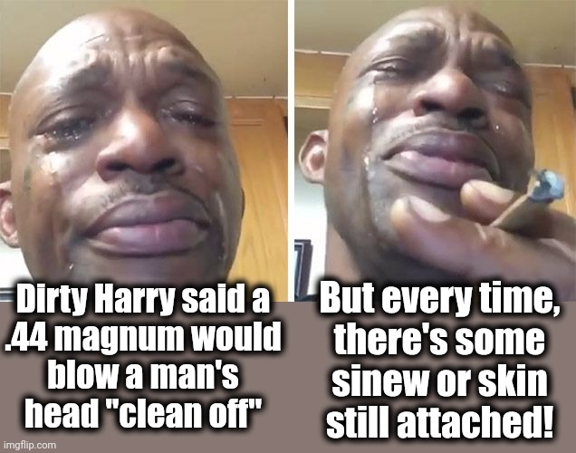 Modern big-city problems | Dirty Harry said a
.44 magnum would
blow a man's
head "clean off"; But every time,
there's some sinew or skin still attached! | image tagged in memes,dirty harry,modern big-city problems,44 magnum | made w/ Imgflip meme maker