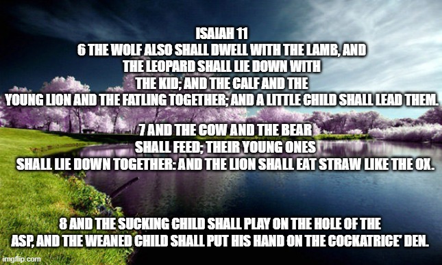 Isaiah 11:6-8 | ISAIAH 11
6 THE WOLF ALSO SHALL DWELL WITH THE LAMB, AND THE LEOPARD SHALL LIE DOWN WITH THE KID; AND THE CALF AND THE YOUNG LION AND THE FATLING TOGETHER; AND A LITTLE CHILD SHALL LEAD THEM. 7 AND THE COW AND THE BEAR SHALL FEED; THEIR YOUNG ONES SHALL LIE DOWN TOGETHER: AND THE LION SHALL EAT STRAW LIKE THE OX. 8 AND THE SUCKING CHILD SHALL PLAY ON THE HOLE OF THE ASP, AND THE WEANED CHILD SHALL PUT HIS HAND ON THE COCKATRICE' DEN. | made w/ Imgflip meme maker