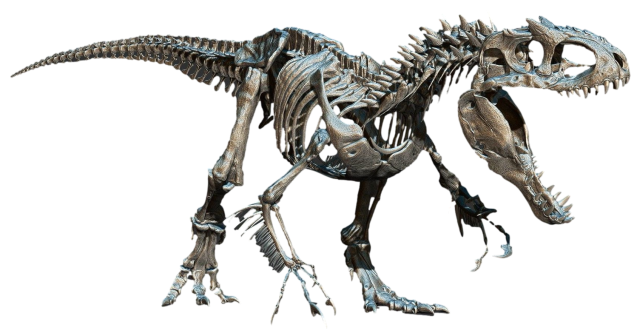 High Quality Indominus Rex Skeleton Blank Meme Template