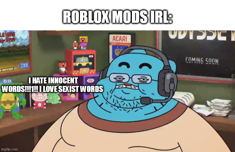 discord moderator | ROBLOX MODS IRL: I HATE INNOCENT WORDS!!!1!! I LOVE SEXIST WORDS | image tagged in discord moderator | made w/ Imgflip meme maker