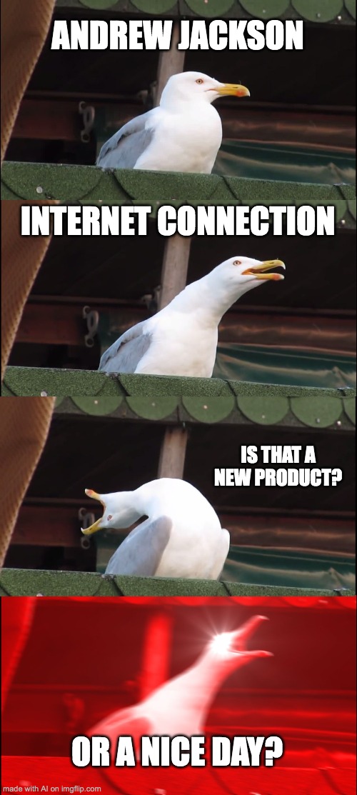 Inhaling Seagull | ANDREW JACKSON; INTERNET CONNECTION; IS THAT A NEW PRODUCT? OR A NICE DAY? | image tagged in memes,inhaling seagull | made w/ Imgflip meme maker