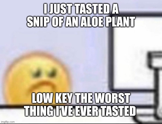 Zad | I JUST TASTED A SNIP OF AN ALOE PLANT; LOW KEY THE WORST THING I’VE EVER TASTED | image tagged in zad | made w/ Imgflip meme maker