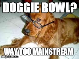 DOGGIE BOWL? WAY TOO MAINSTREAM | made w/ Imgflip meme maker